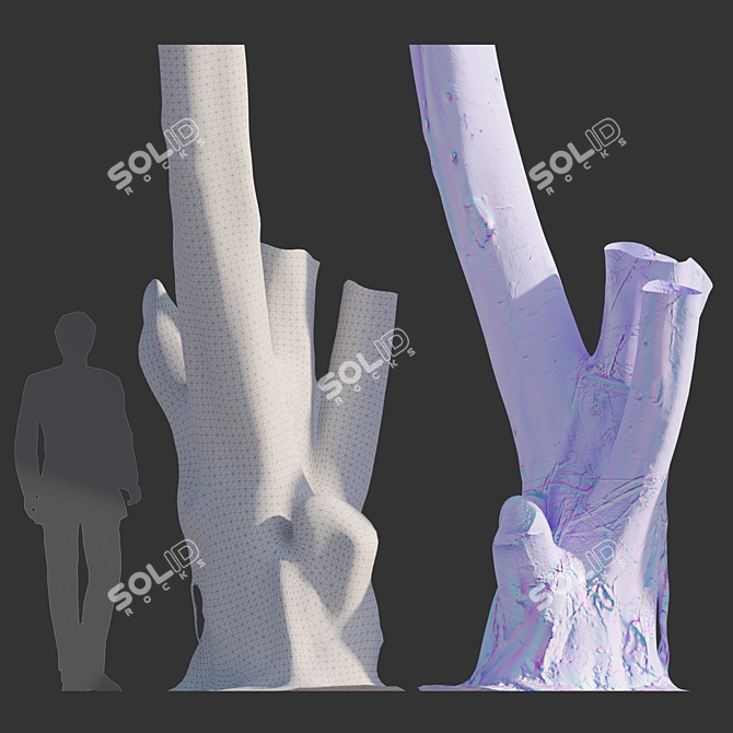 Full-spectrum Ficus Tree Pack 3D model image 3