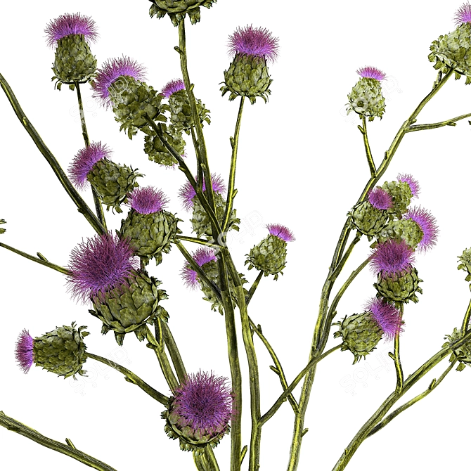 Thistle Thicket Greenery Bouquet 3D model image 6