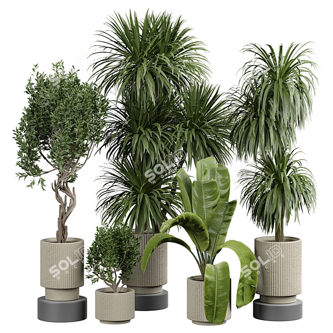 Elegant Indoor Plant Collection 3D model image 1