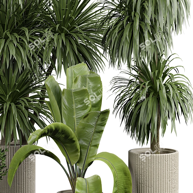 Elegant Indoor Plant Collection 3D model image 2