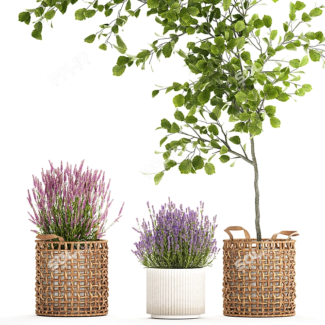 Modern Potted Plant Collection 3D model image 2