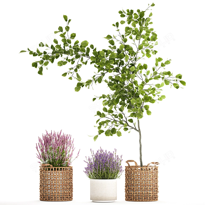 Modern Potted Plant Collection 3D model image 6