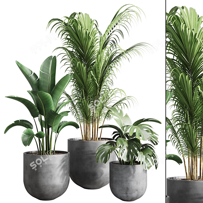 Greenery Bliss Indoor Plants 3D model image 1