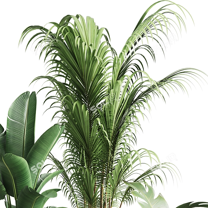 Greenery Bliss Indoor Plants 3D model image 2