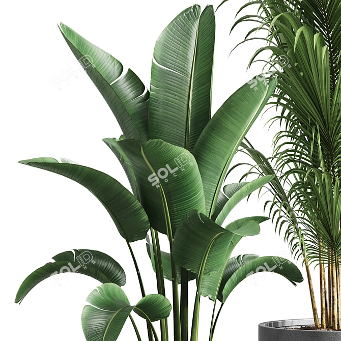 Greenery Bliss Indoor Plants 3D model image 3