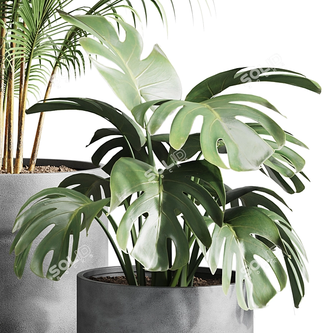 Greenery Bliss Indoor Plants 3D model image 4