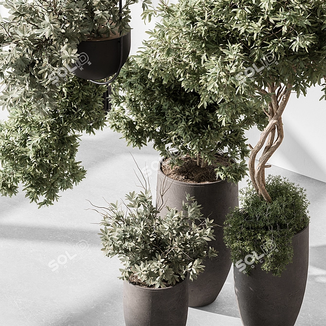 Tree in Pot: Indoor 577 3D model image 2