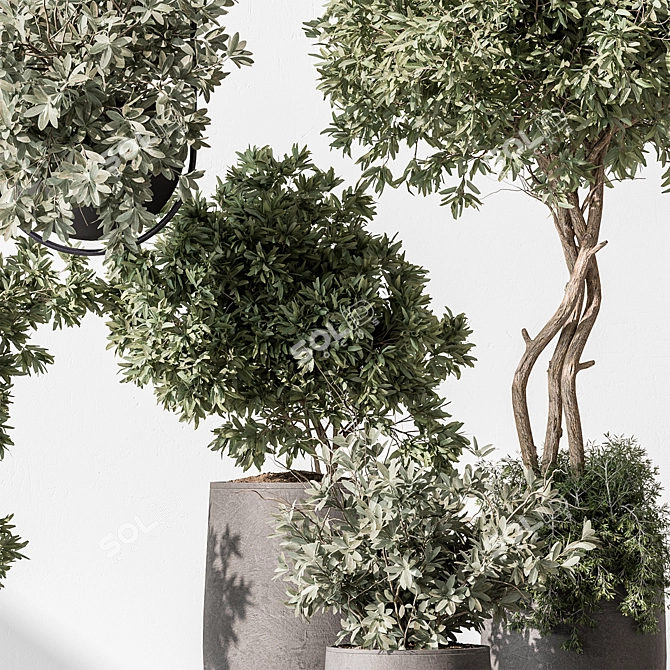 Tree in Pot: Indoor 577 3D model image 3