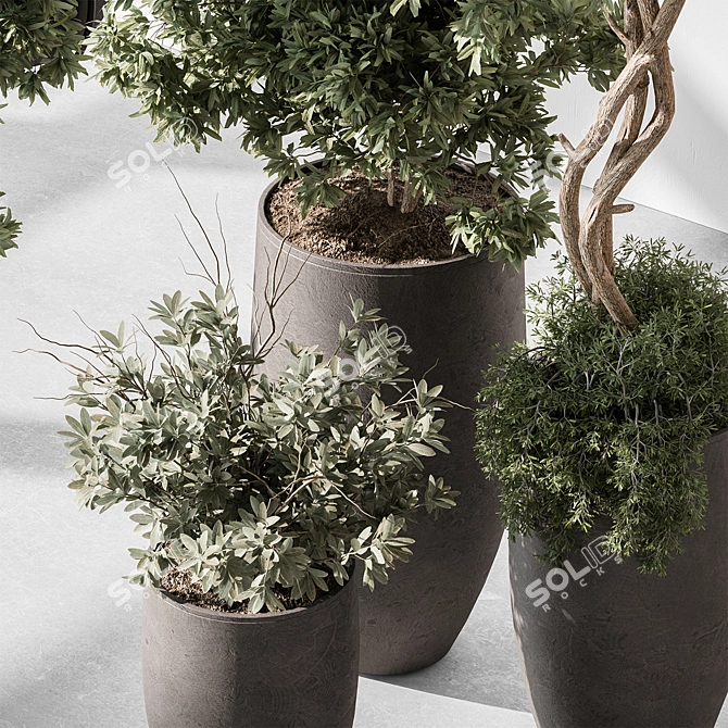 Tree in Pot: Indoor 577 3D model image 4