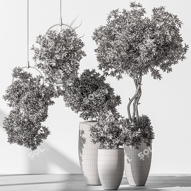 Tree in Pot: Indoor 577 3D model image 5