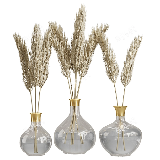Elegant Pampas Glass Vase Display 3D model image 1
