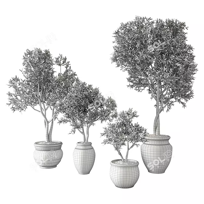 Lush Olive Tree Indoor Decor 3D model image 6