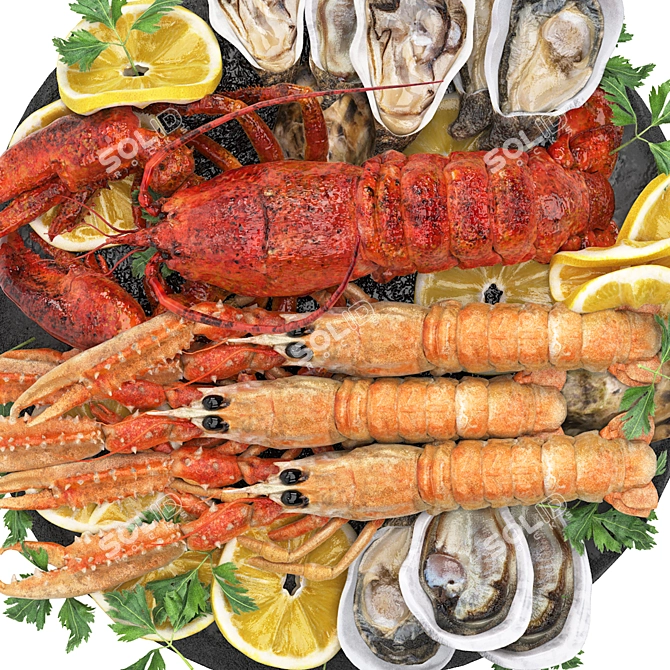 Luscious Seafood Platter 3D Model 3D model image 3