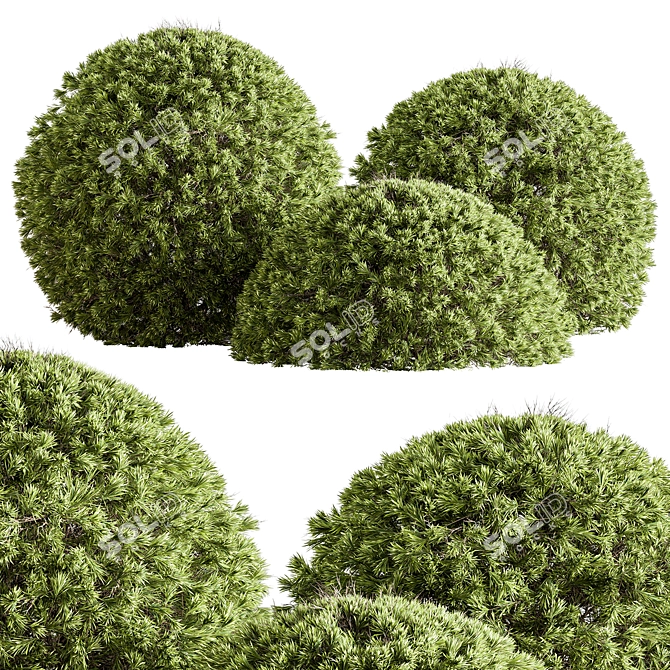 Handcrafted Topiary Ball Bush 3D model image 1