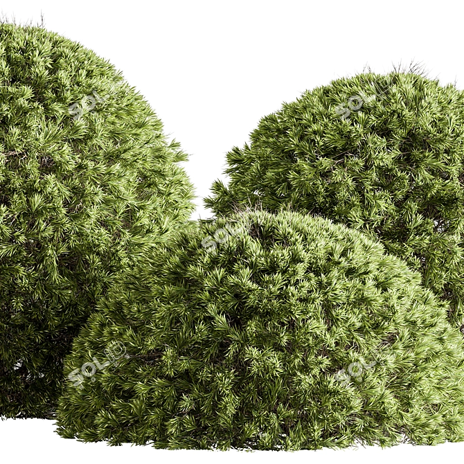 Handcrafted Topiary Ball Bush 3D model image 2