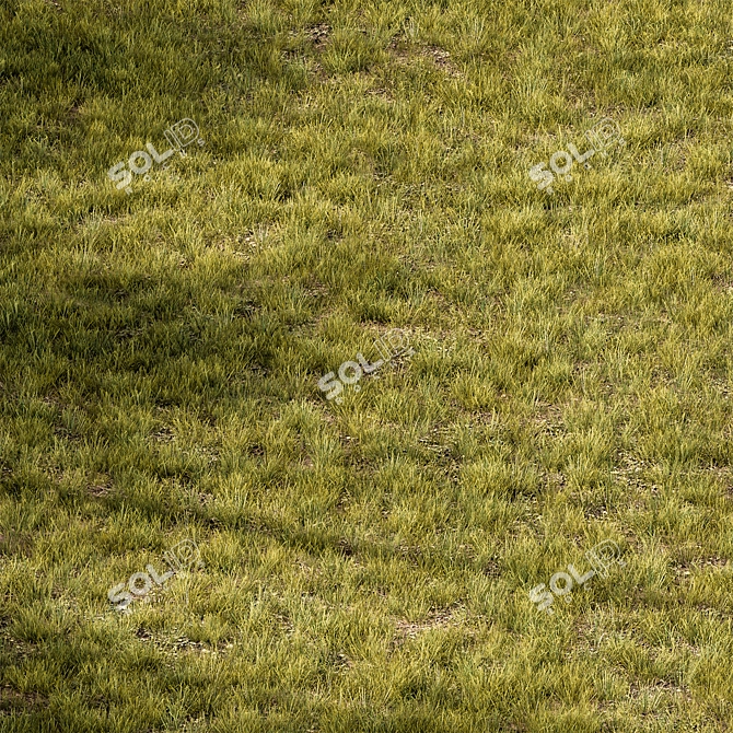  Rectangular Short Grass Set 29 3D model image 3