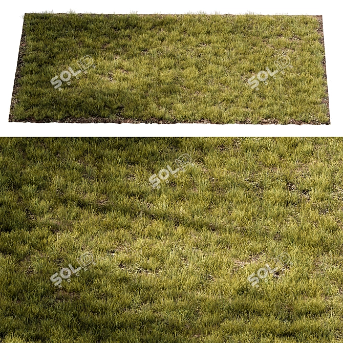  Rectangular Short Grass Set 29 3D model image 4