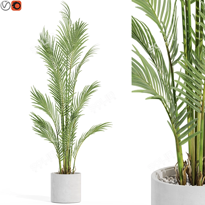 Lush Greenery Plants Assortment 3D model image 1