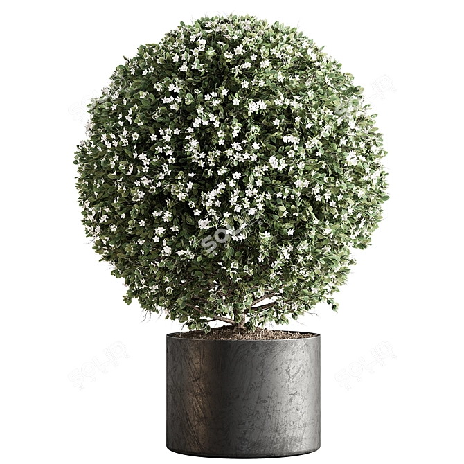 Topiary Ball Indoor Plant Symbol 3D model image 1