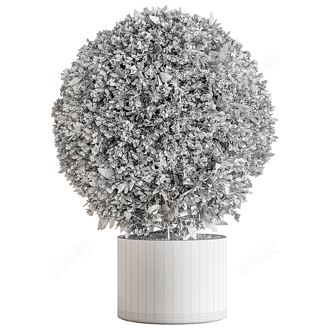 Topiary Ball Indoor Plant Symbol 3D model image 3