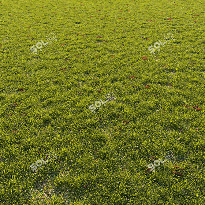 Autumn Grass Scatter Set 3D model image 1