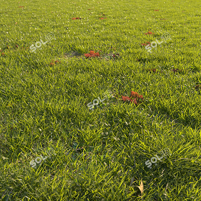 Autumn Grass Scatter Set 3D model image 2