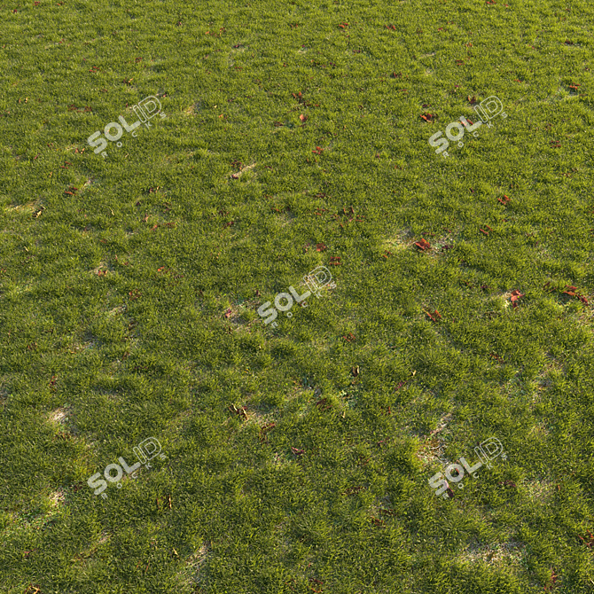 Autumn Grass Scatter Set 3D model image 3