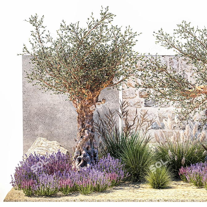 Lavender & Olive Collection 3D model image 2