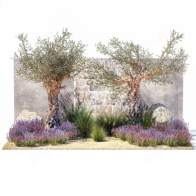 Lavender & Olive Collection 3D model image 6