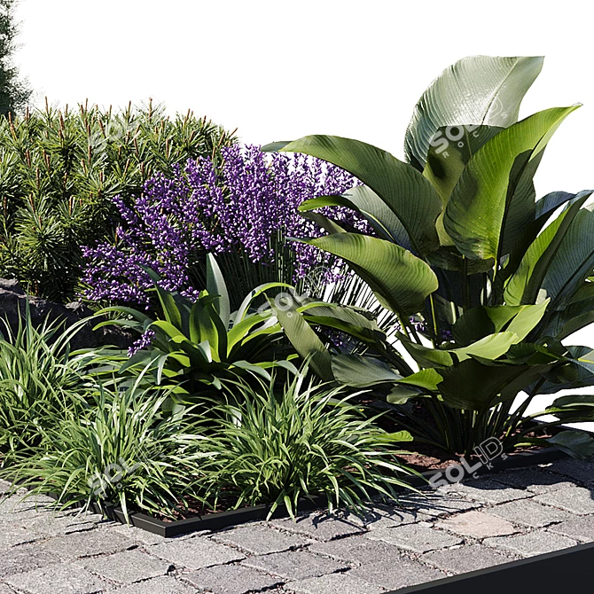 21-Piece Outdoor Plant Set 3D model image 3