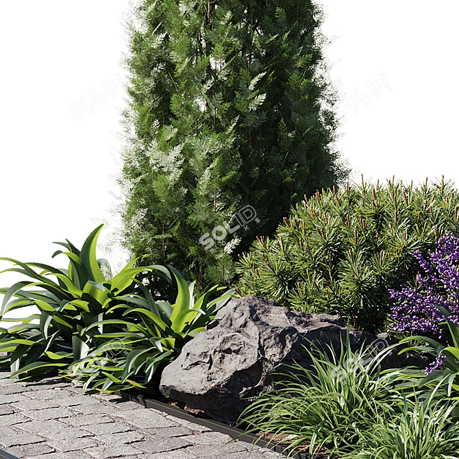 21-Piece Outdoor Plant Set 3D model image 4