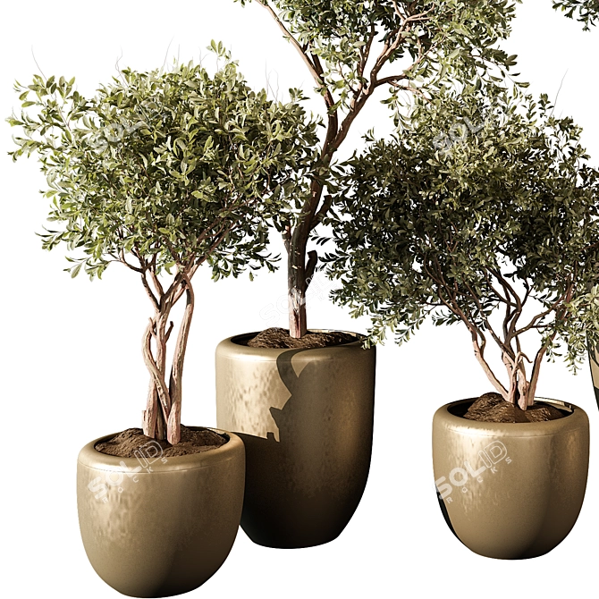 Modern Indoor Plant 415 Model 3D model image 2