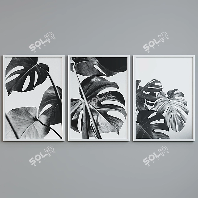 Modern Plant Picture Frame Set 3D model image 3