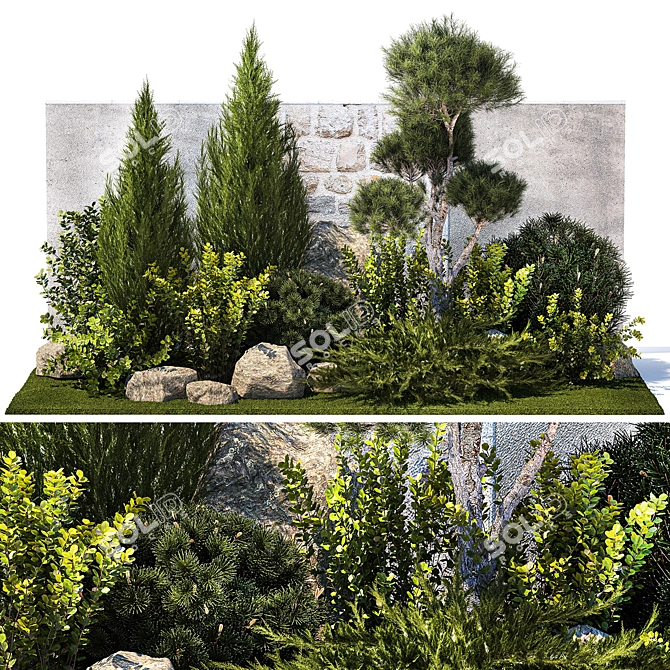 Urban Greenery Collection: Conifers, Shrubs, Bonsai 3D model image 1