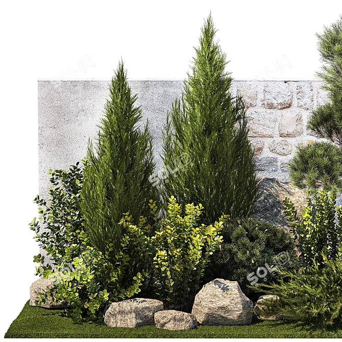 Urban Greenery Collection: Conifers, Shrubs, Bonsai 3D model image 2