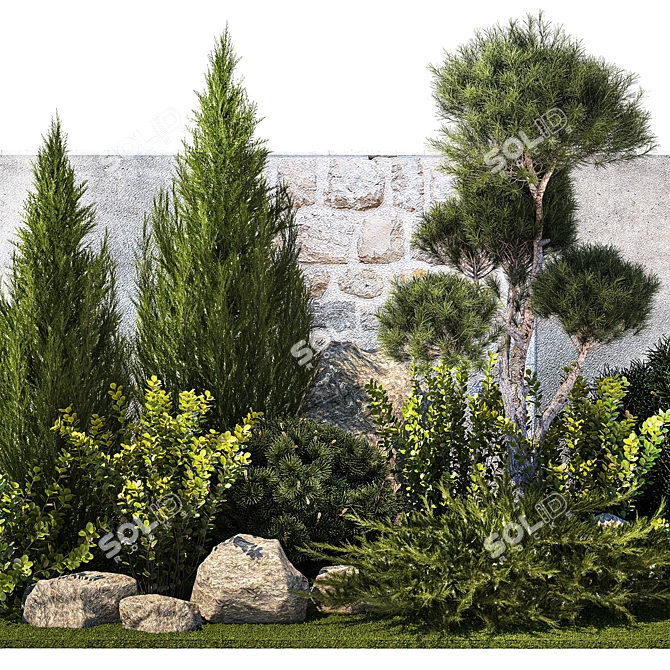 Urban Greenery Collection: Conifers, Shrubs, Bonsai 3D model image 3