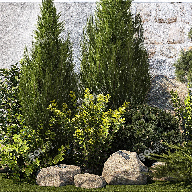 Urban Greenery Collection: Conifers, Shrubs, Bonsai 3D model image 4