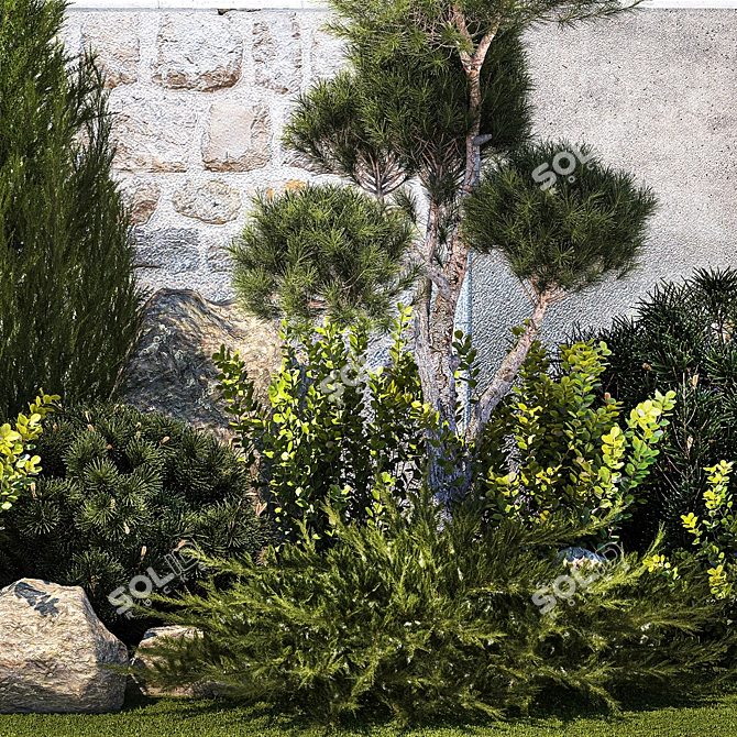 Urban Greenery Collection: Conifers, Shrubs, Bonsai 3D model image 6