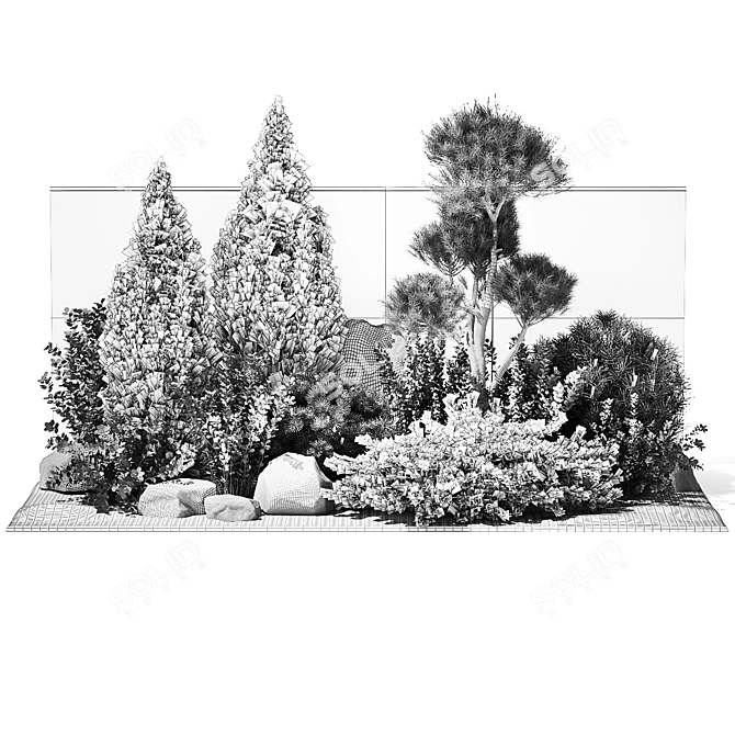 Urban Greenery Collection: Conifers, Shrubs, Bonsai 3D model image 7