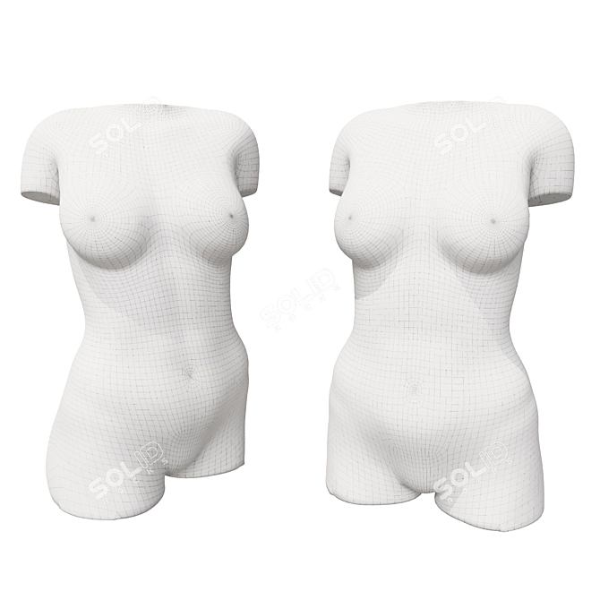 Body_2_Sculpture 2016 Model Kit 3D model image 5