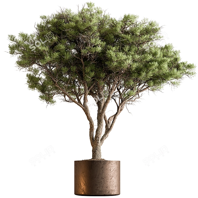 Lush Tree in Pot 3D model image 1