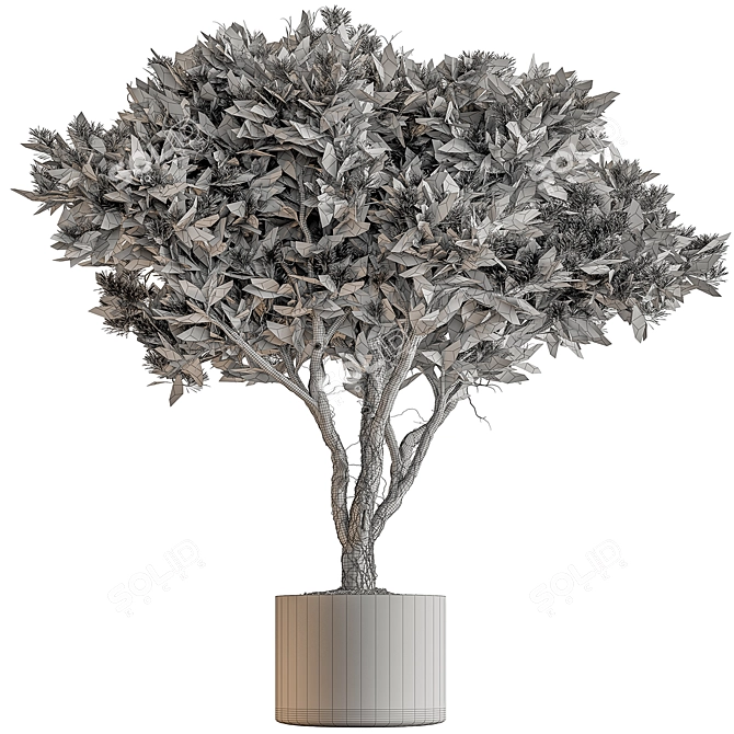 Lush Tree in Pot 3D model image 4