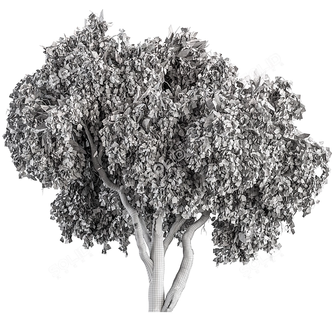 Peppertree Tree Set: Elegant Home Decor 3D model image 3