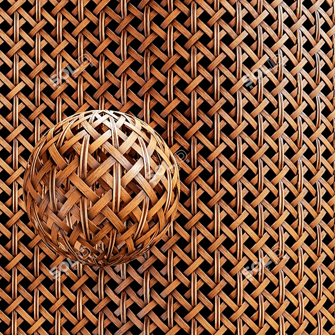 Bamboo Rattan Cane Material Bundle 3D model image 3