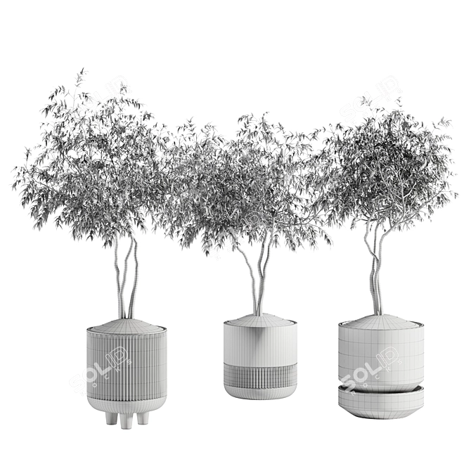 Modern Plant Collection Set 19 3D model image 2