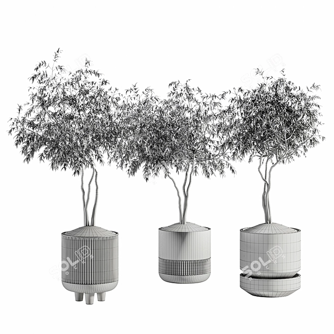 Modern Plant Collection Set 19 3D model image 6