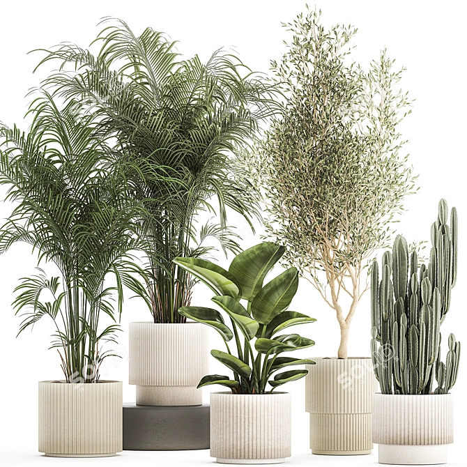 Tropical Plant Collection in Stylish Pots 3D model image 1