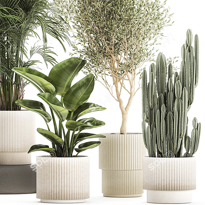 Tropical Plant Collection in Stylish Pots 3D model image 2