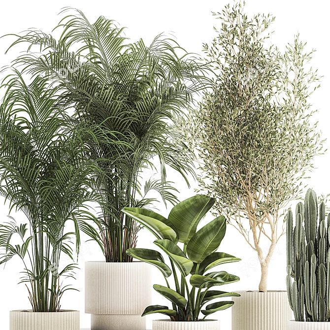 Tropical Plant Collection in Stylish Pots 3D model image 3