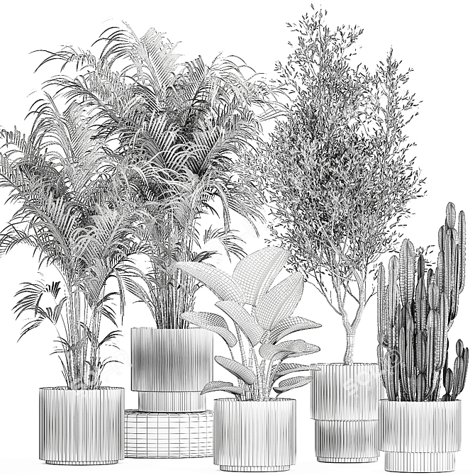 Tropical Plant Collection in Stylish Pots 3D model image 6